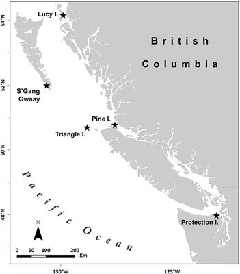 Baseline health parameters of rhinoceros auklets (Cerorhinca monocerata) using serum protein electrophoresis, acute phase proteins, and biochemistry